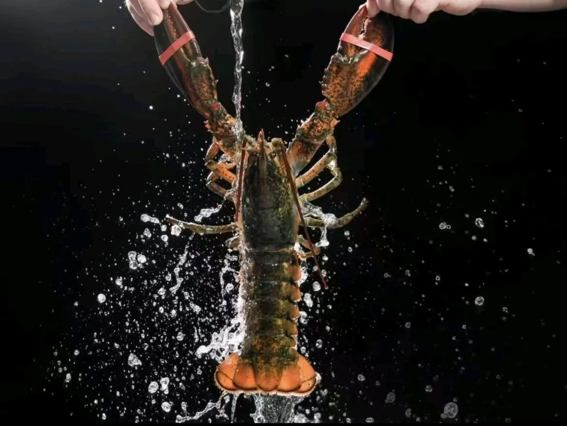 云浮海鲜